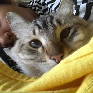 Meet your Posher, Fernanda